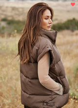 Load image into Gallery viewer, Brown Puffer Vest
