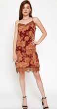 Load image into Gallery viewer, Velvet Paisley Dress
