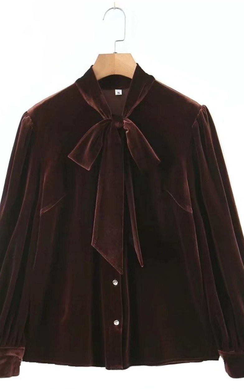 Chocolate Velvet Blouse